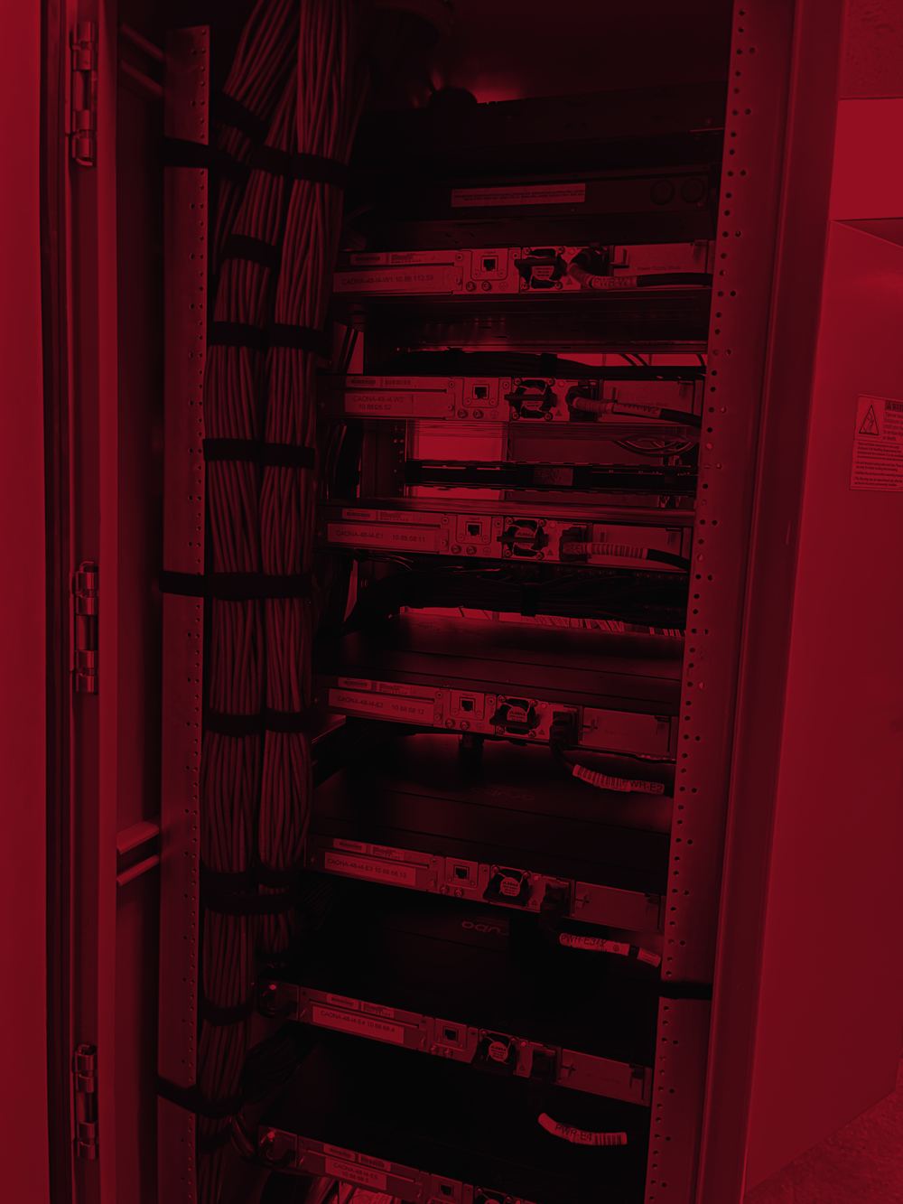 Structured network cabling installation — dressed Cat6 cable bundles in a Los Angeles commercial facility